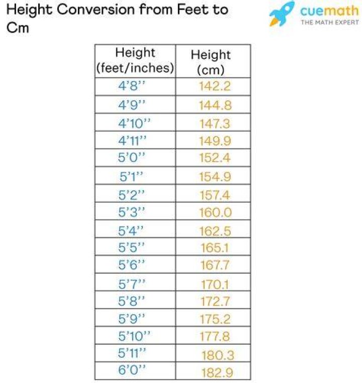 164 cm to ft: A Comprehensive Guide to Height Conversion and Understanding