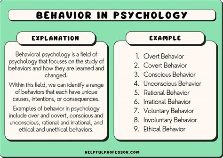 Fox Drinking: Understanding the Unique Behavior and Its Implications